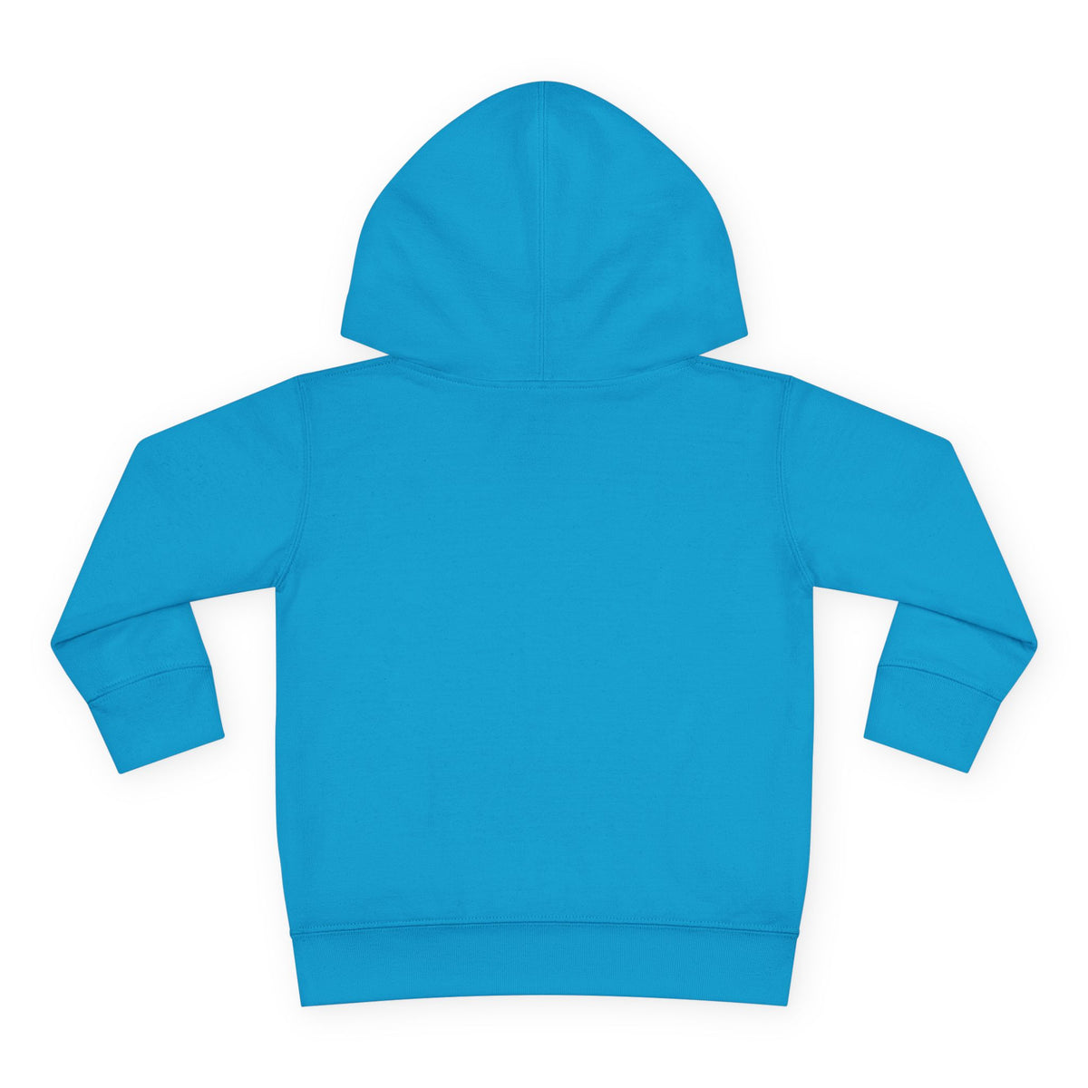 Toddler Hoodie - "Brave Little Heart" Teddy Design (Personalize: Joshua's Story)